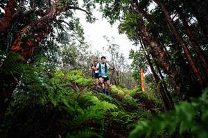 BIB: 
                            <button type="button" onclick="openModal(26203979)" class="btn btn-primary btn-sm float-right btn-popup" data-toggle="modal" data-target=".modal-high-quality">
                        <i class="fas fa-shopping-cart"></i> Add to Cart
                    </button>
                                            <button type="button" onclick="isThisMe(26203979, true)" class="btn btn-success btn-sm float-right btn-popup btn-isme hidden" data-toggle="tooltip" data-placement="bottom" title="นี่คือรูปของคุณใช่ไหม คลิกที่นี่เพื่อเอาเข้าอัลบั้ม">
                        <i class="fas fa-plus"></i> Add to album
                    </button>
                    <button type="button" onclick="isThisMe(26203979, false)" class="btn btn-warning btn-sm float-right btn-popup btn-isnotme hidden">
                        <i class="fas fa-ban"></i> Remove from album
                    </button>